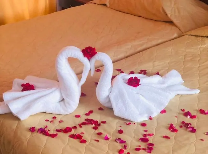 Latinka 3* 소피아